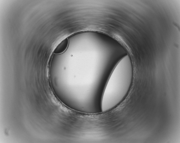 X0000103280900200808291043