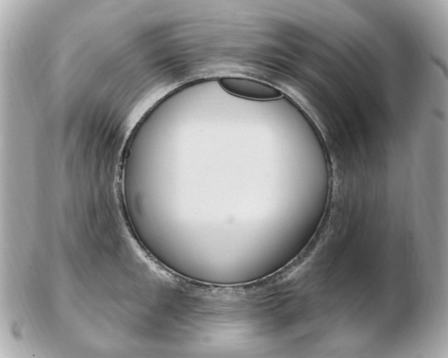 X0000103280901200808291043