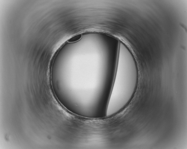 X0000103280902200808291043