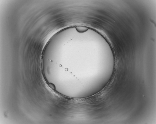 X0000103280903200808291043