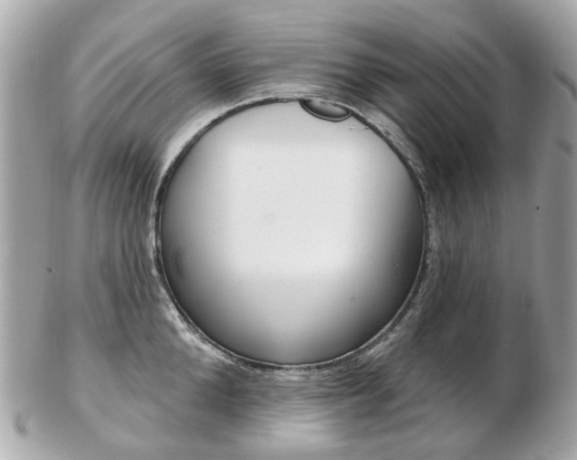 X0000103280904200808291043
