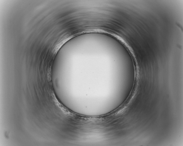 X0000103280905200808291043