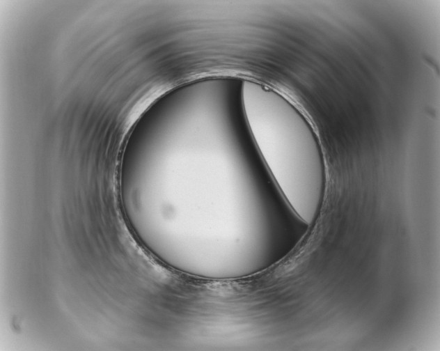 X0000103280906200808291043