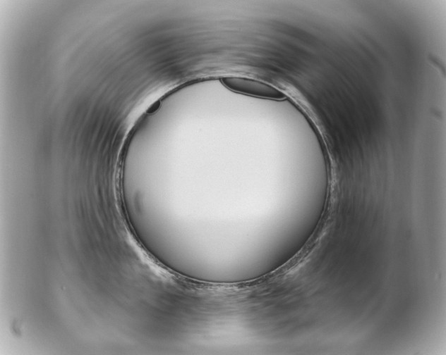 X0000103280909200808291043