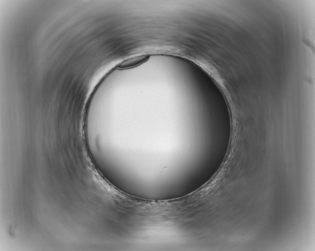 X0000103280912200808291043
