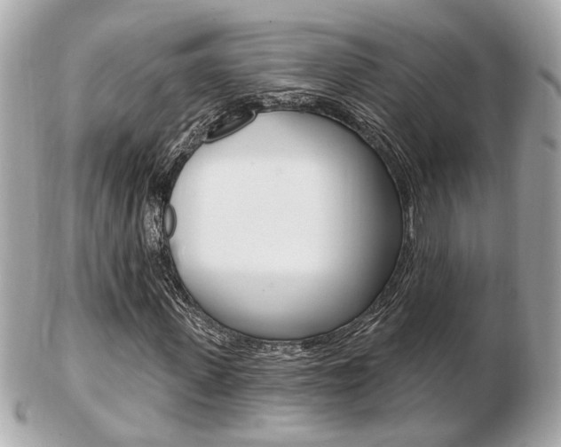 X0000103280915200808291042
