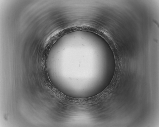 X0000103280920200808291042