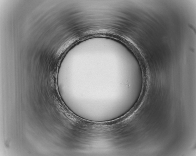 X0000103280921200808291042