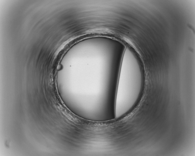 X0000103280923200808291042