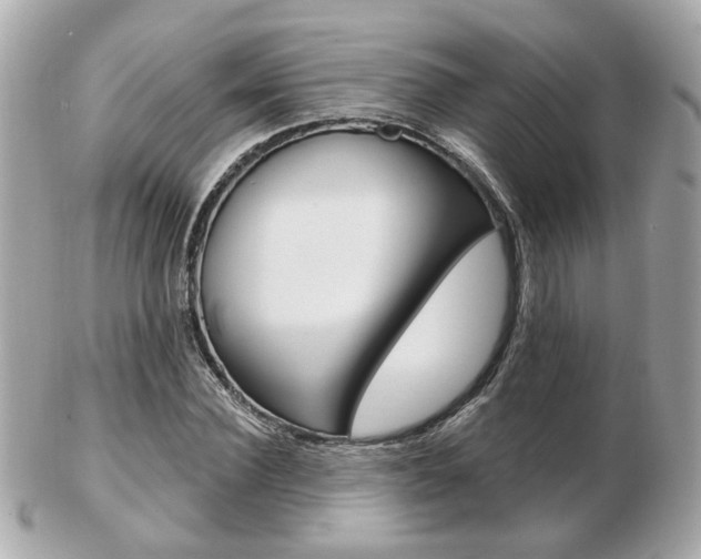 X0000103280924200808291042
