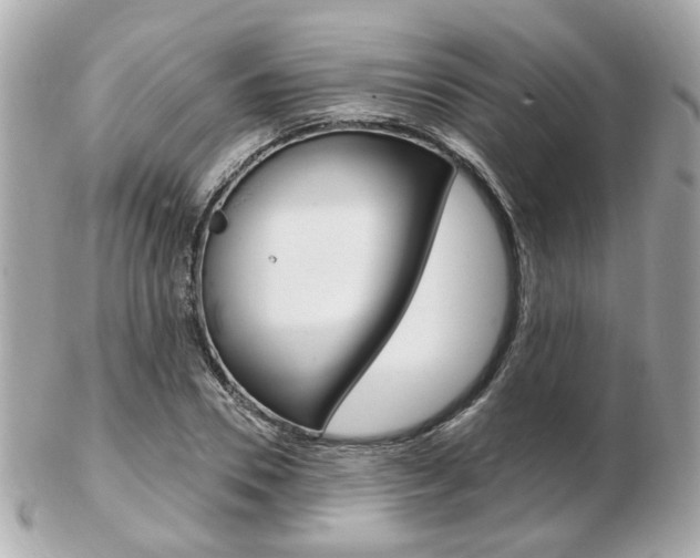 X0000103280930200808291042