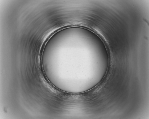 X0000103280932200808291042
