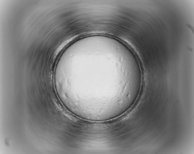 X0000103280933200808291042