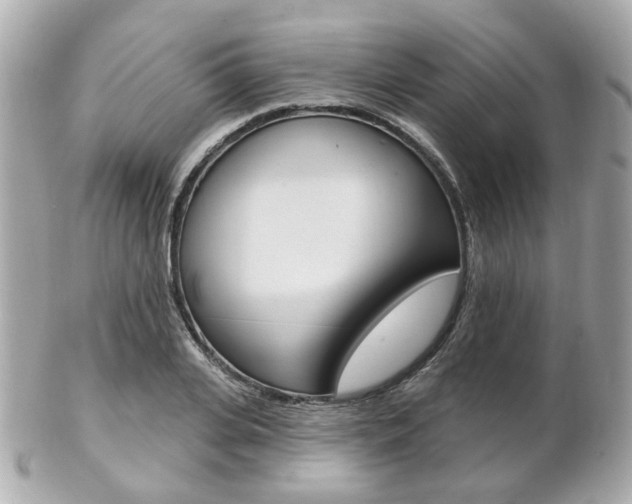 X0000103280935200808291042