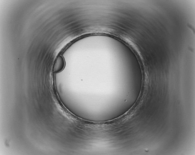 X0000103280936200808291042