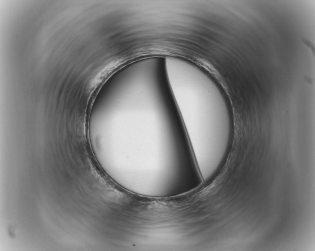X0000103280938200808291042