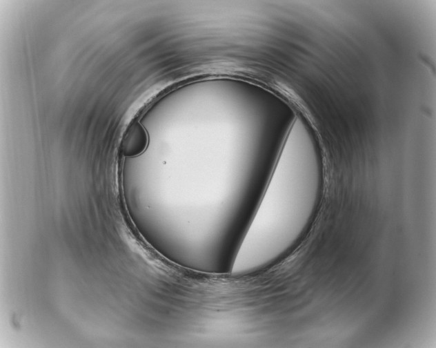 X0000103280939200808291042