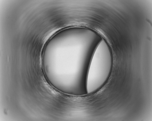 X0000103280940200808291042