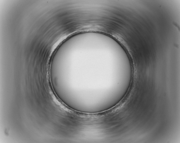 X0000103280941200808291042
