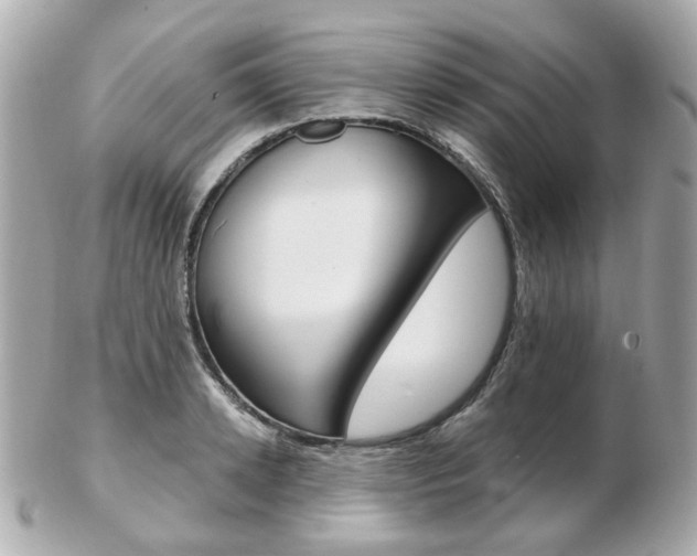 X0000103280942200808291042