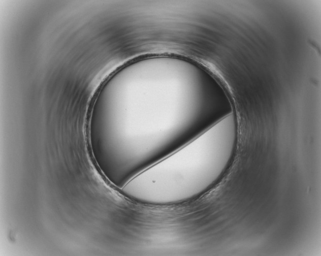 X0000103280943200808291042