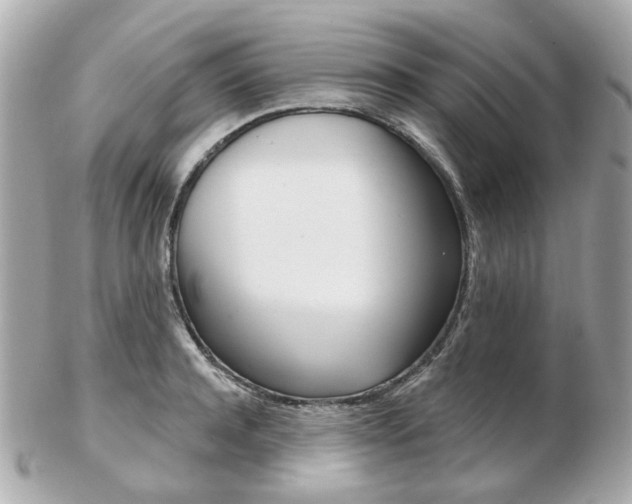 X0000103280944200808291042