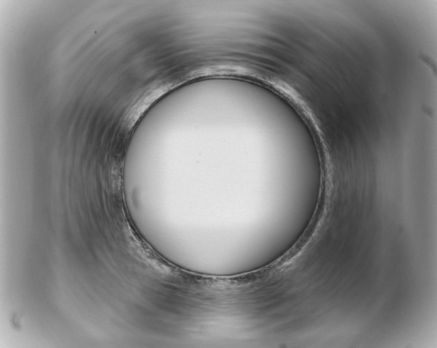 X0000103280945200808291042