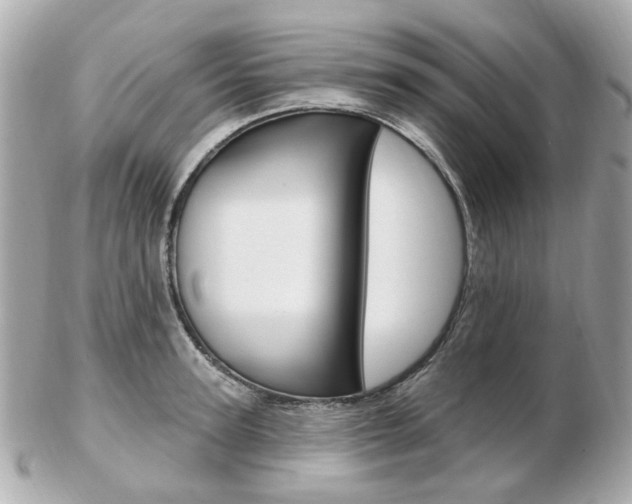 X0000103280947200808291042