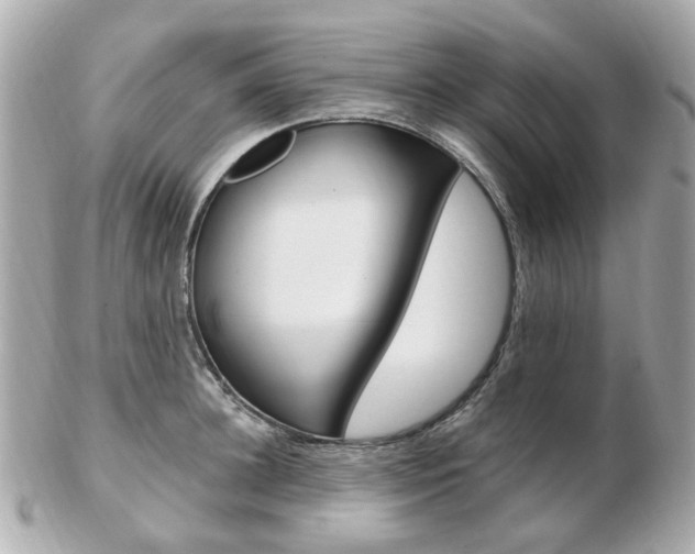 X0000103280948200808291042