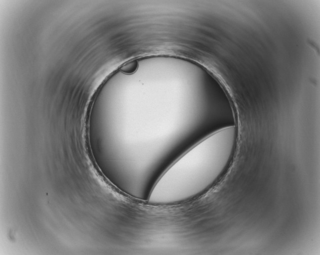 X0000103280949200808291042