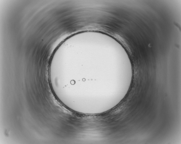 X0000103280950200808291042