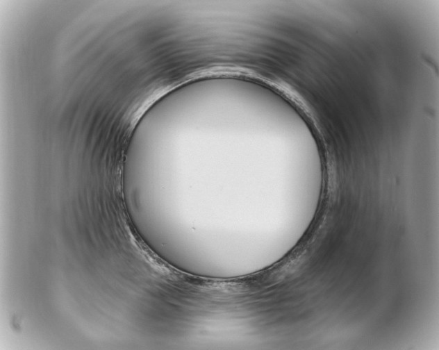 X0000103280953200808291042