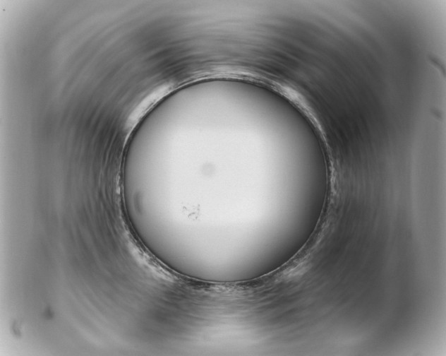X0000103280954200808291042