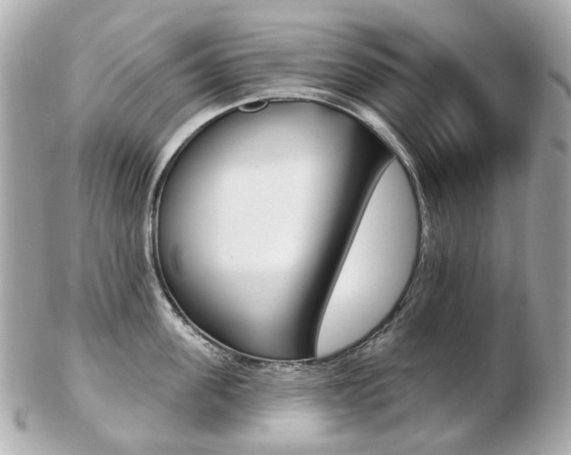 X0000103280955200808291042