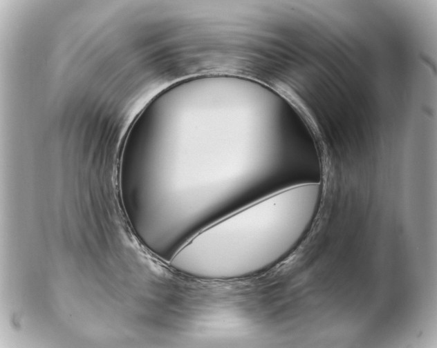 X0000103280956200808291043