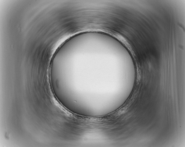 X0000103280958200808291043