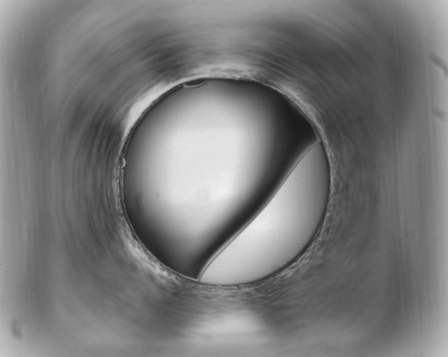 X0000103280960200808291043