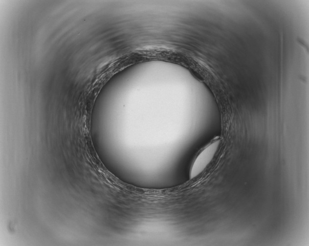 X0000103280965200808291042