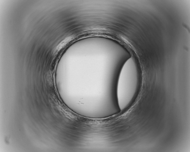 X0000103280970200808291042