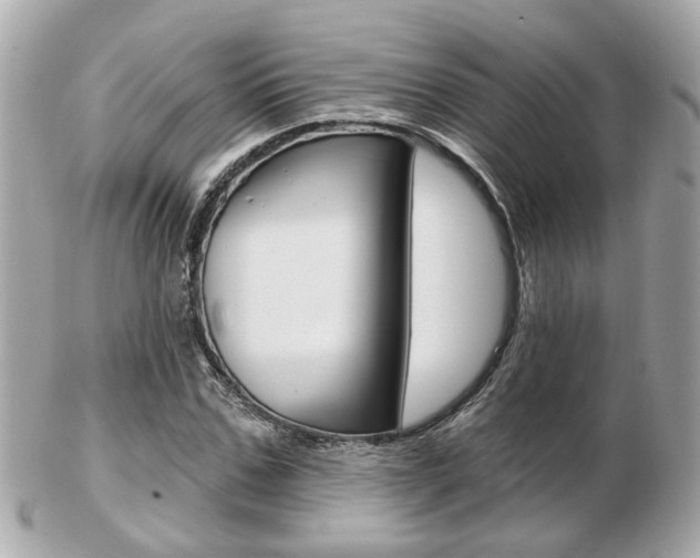 X0000103280971200808291042