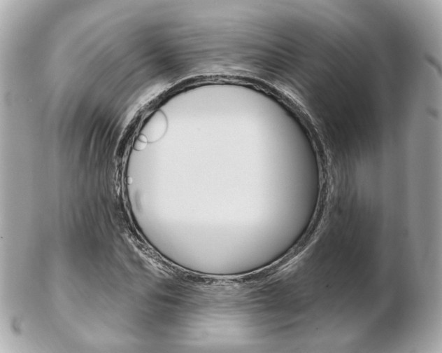 X0000103280974200808291042