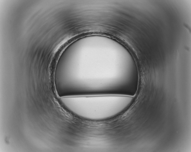 X0000103280975200808291042