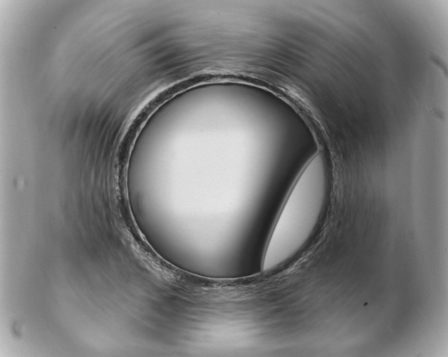 X0000103280976200808291042