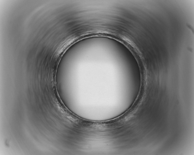 X0000103280977200808291042