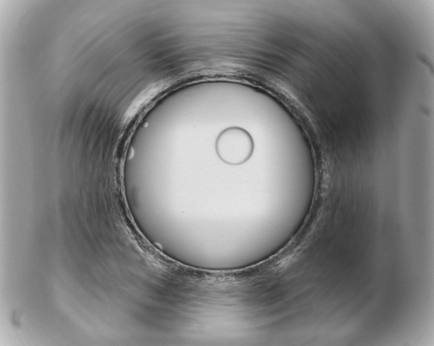 X0000103280978200808291042
