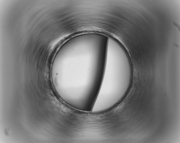 X0000103280979200808291042