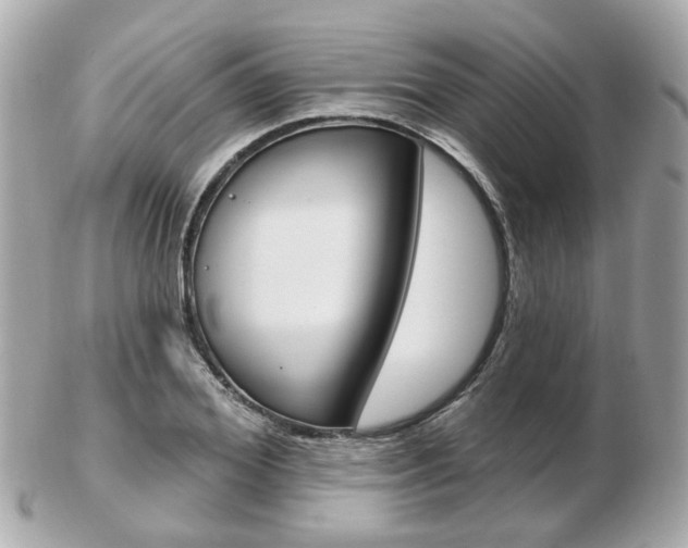 X0000103280980200808291042