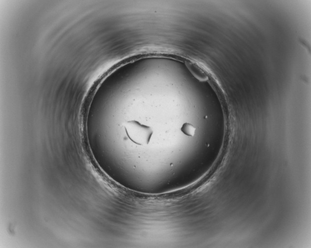 X0000103280981200808291042