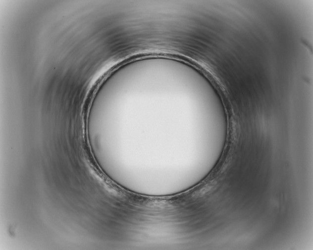 X0000103280982200808291042
