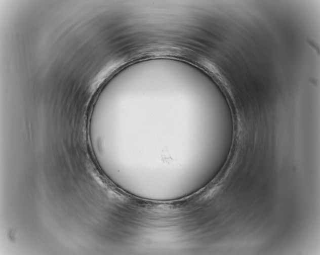 X0000103280986200808291042